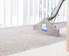 carpet cleaners fargo